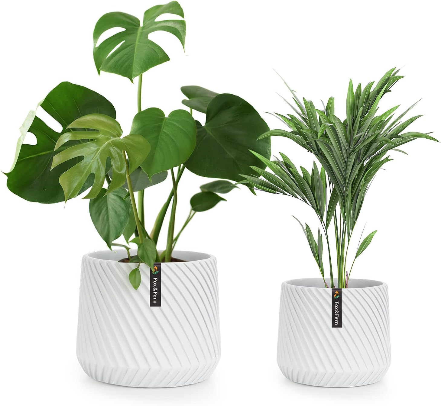 Detalle de Fox & Fern PP-MUTI-L-SA Plant Pots, Set of 2, Matte White Polystone