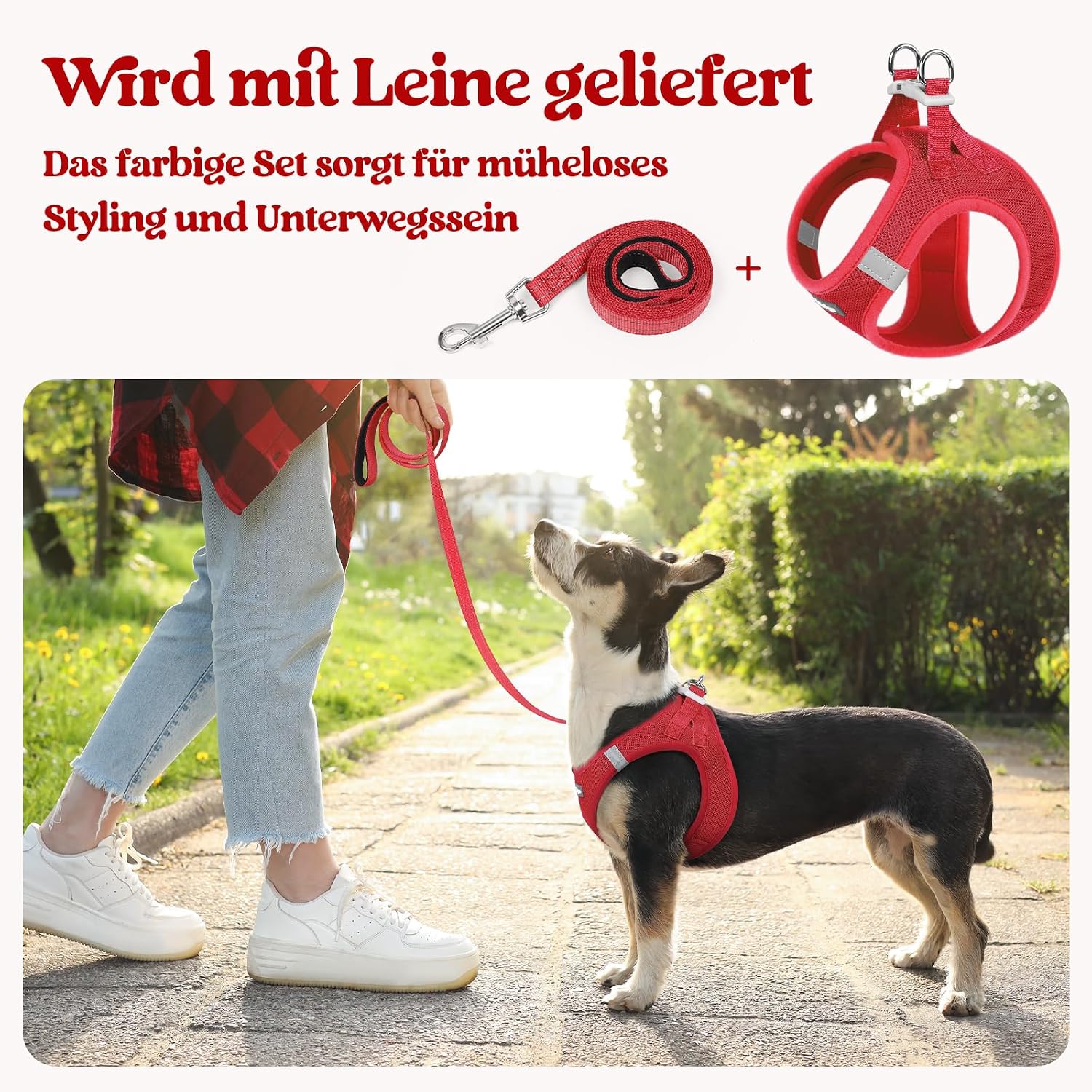 Thumbnail 5 de rabbitgoo Hundegeschirr 1,56 m