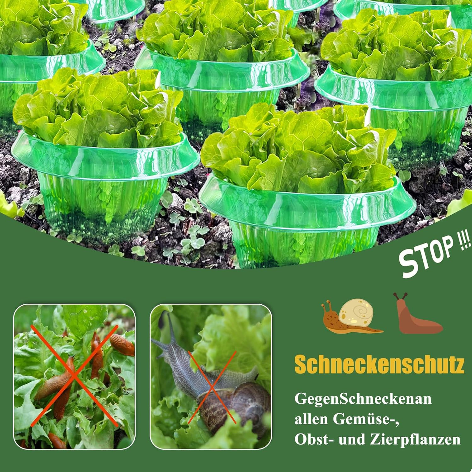 Thumbnail 1 de CYYMNA Lot de 12 collerettes anti-limaces : protection sans produits chimiques pour vos plantes