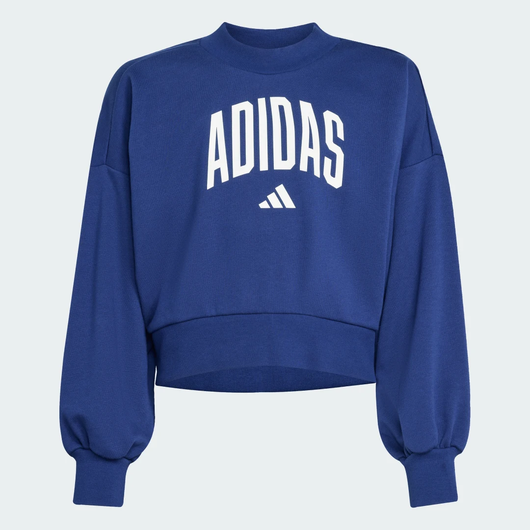 Thumbnail 3 de Adidas Seasonals Essentials sudadera azul
