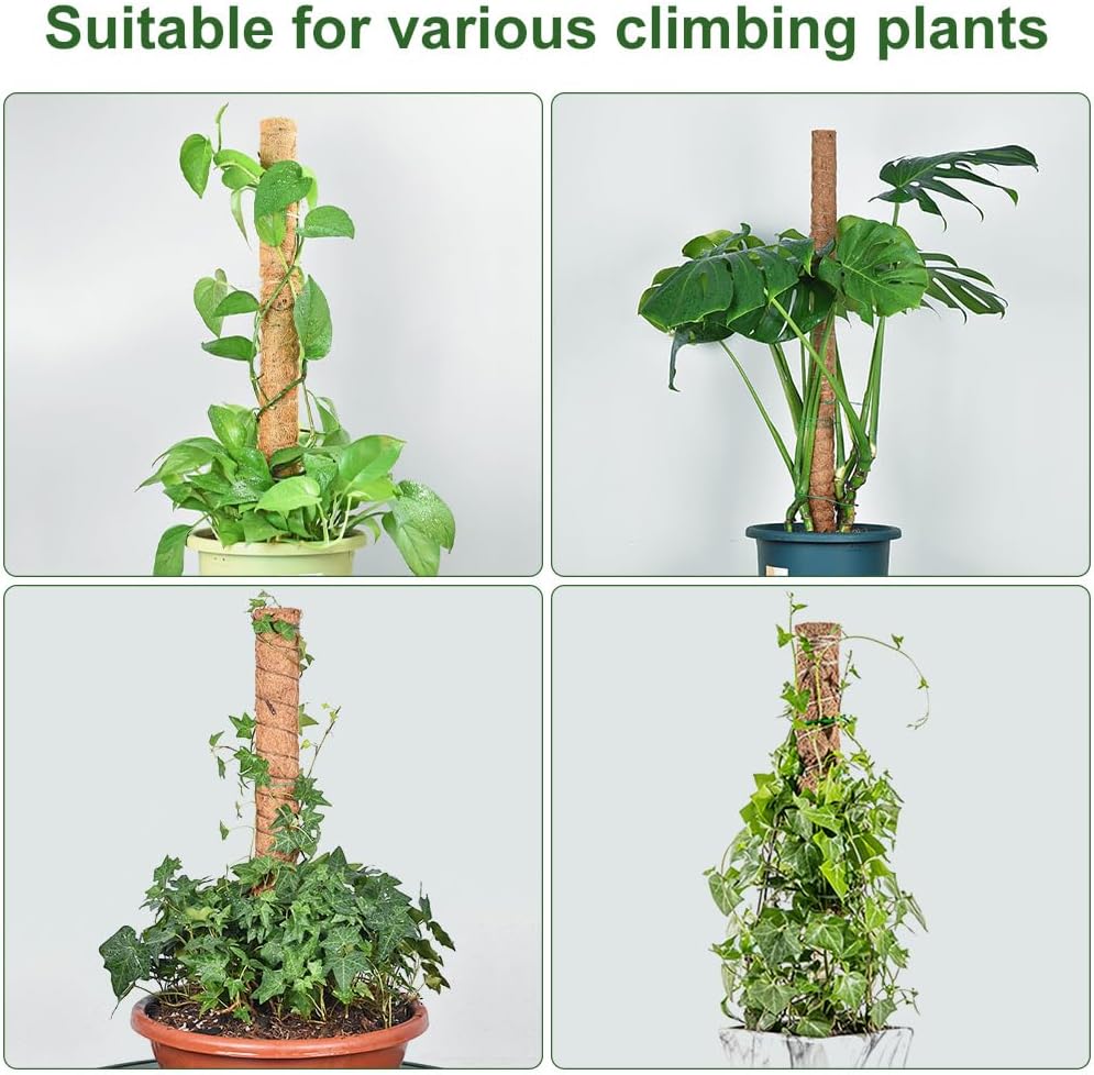 Thumbnail 6 de Vicloon Moss Pole 30cm Pack of 4