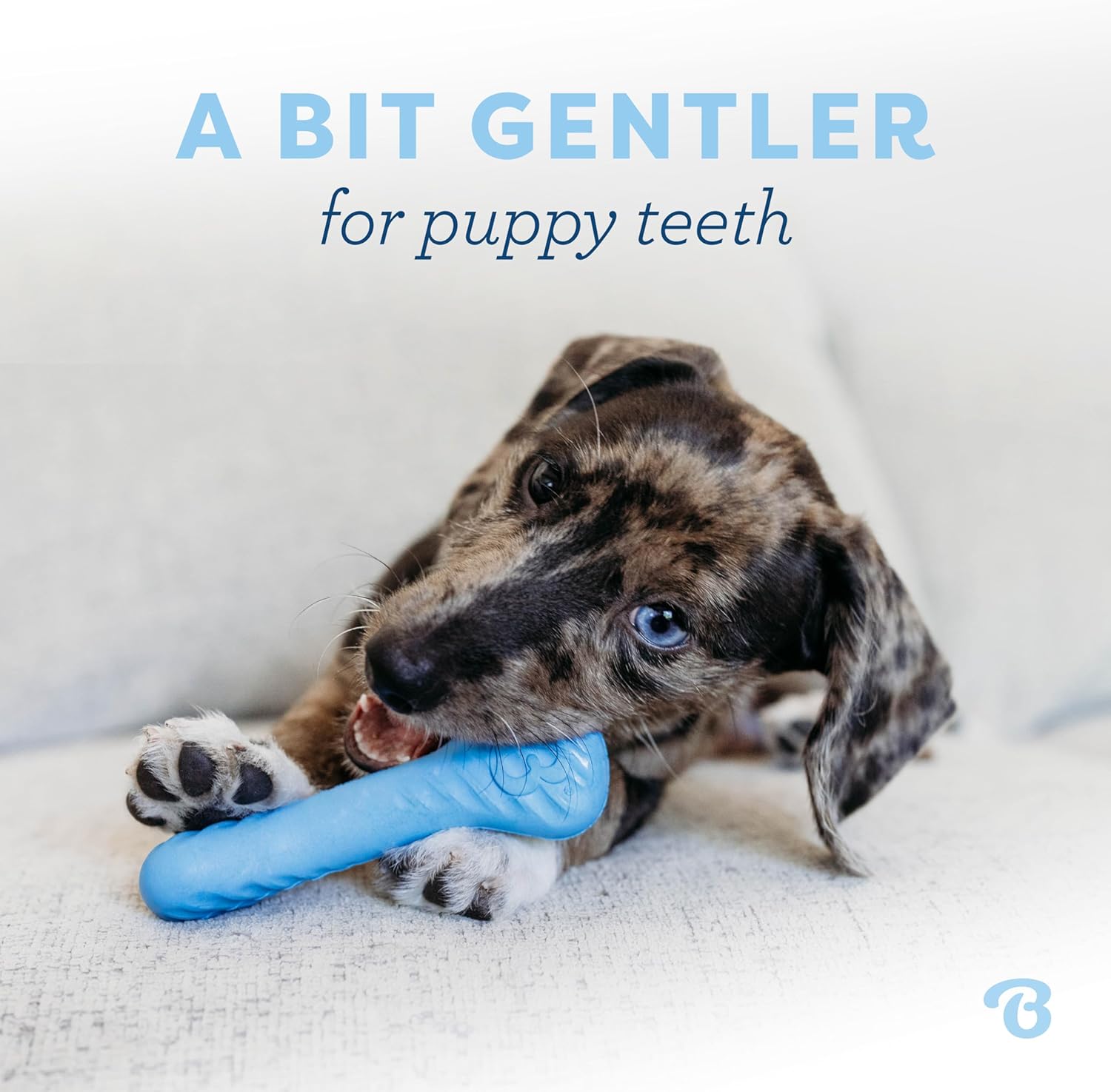 Detalle 2 de Benebone Puppy 2-Pack Rubber Bone/Wishbone Tiny – Jouets à mâcher pour chiots teething