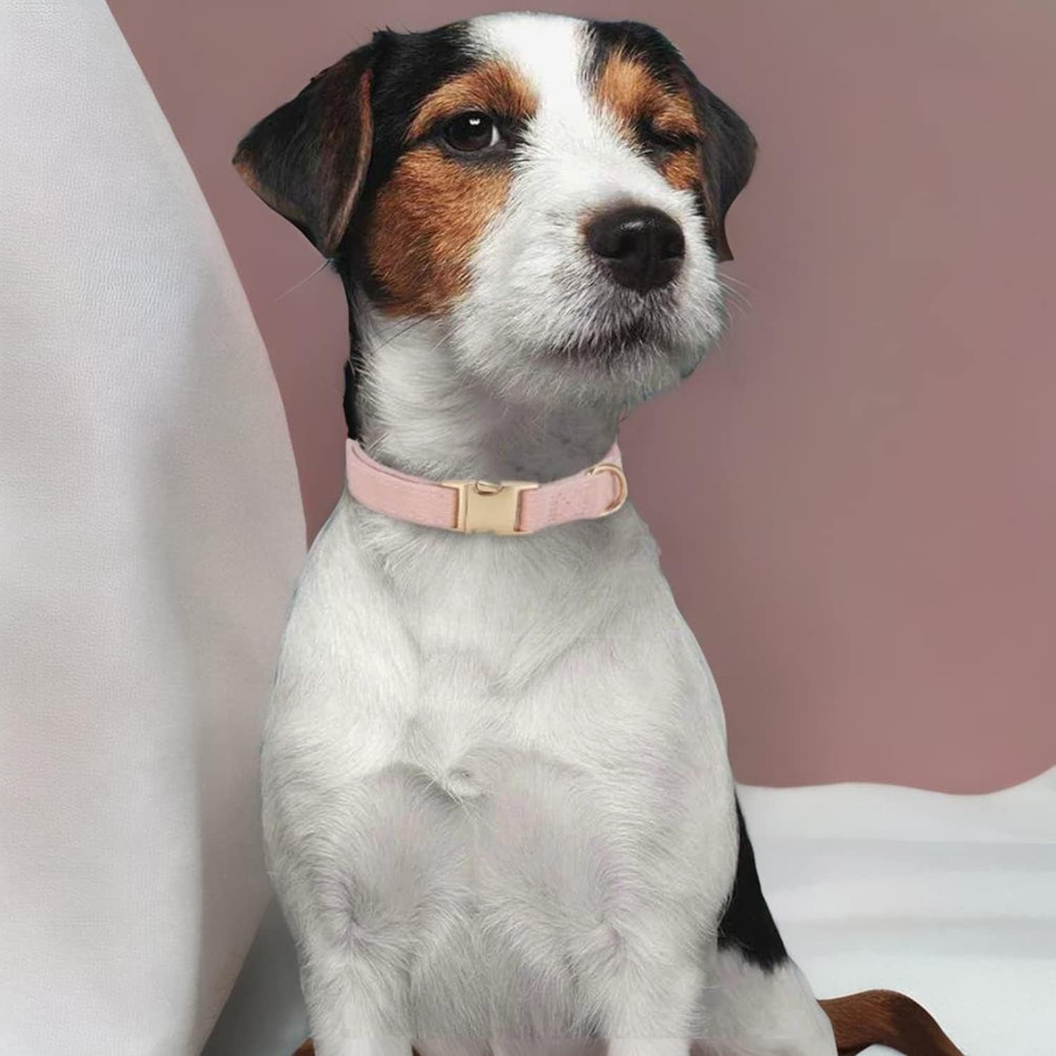 Thumbnail 1 de YUDOTE Dog Collar and Lead Set, Medium 1️⃣