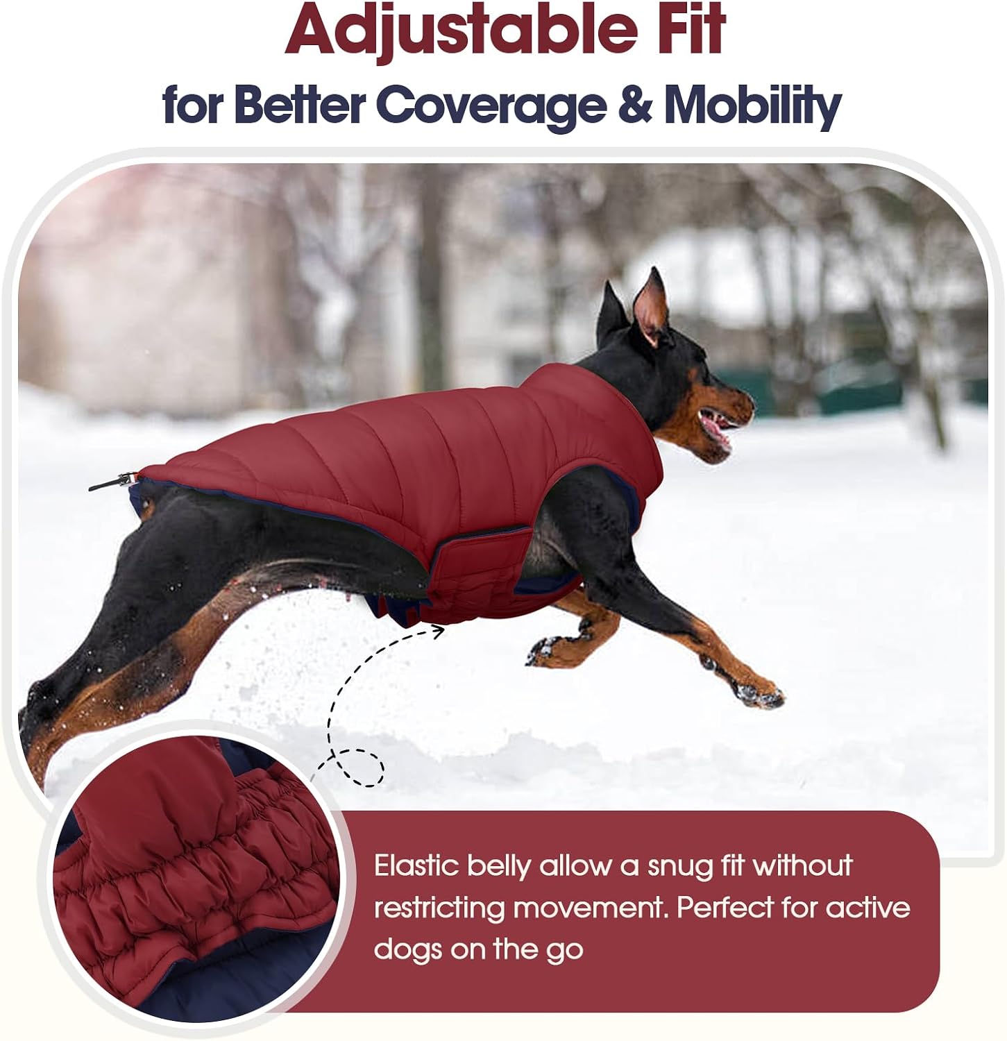 Thumbnail 4 de QBLEEV Dog Jacket, size S
