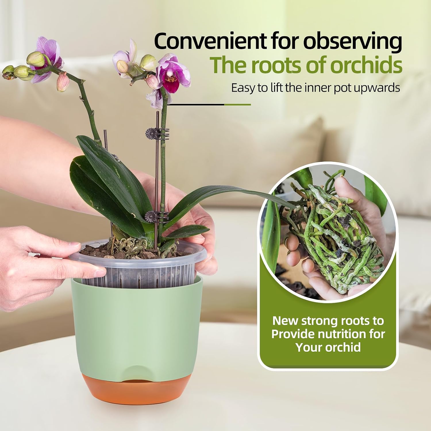 Detalle de QCQHDU 2Pack 7.2In Large Self-Watering Orchid Pots with Detachable Reservoir