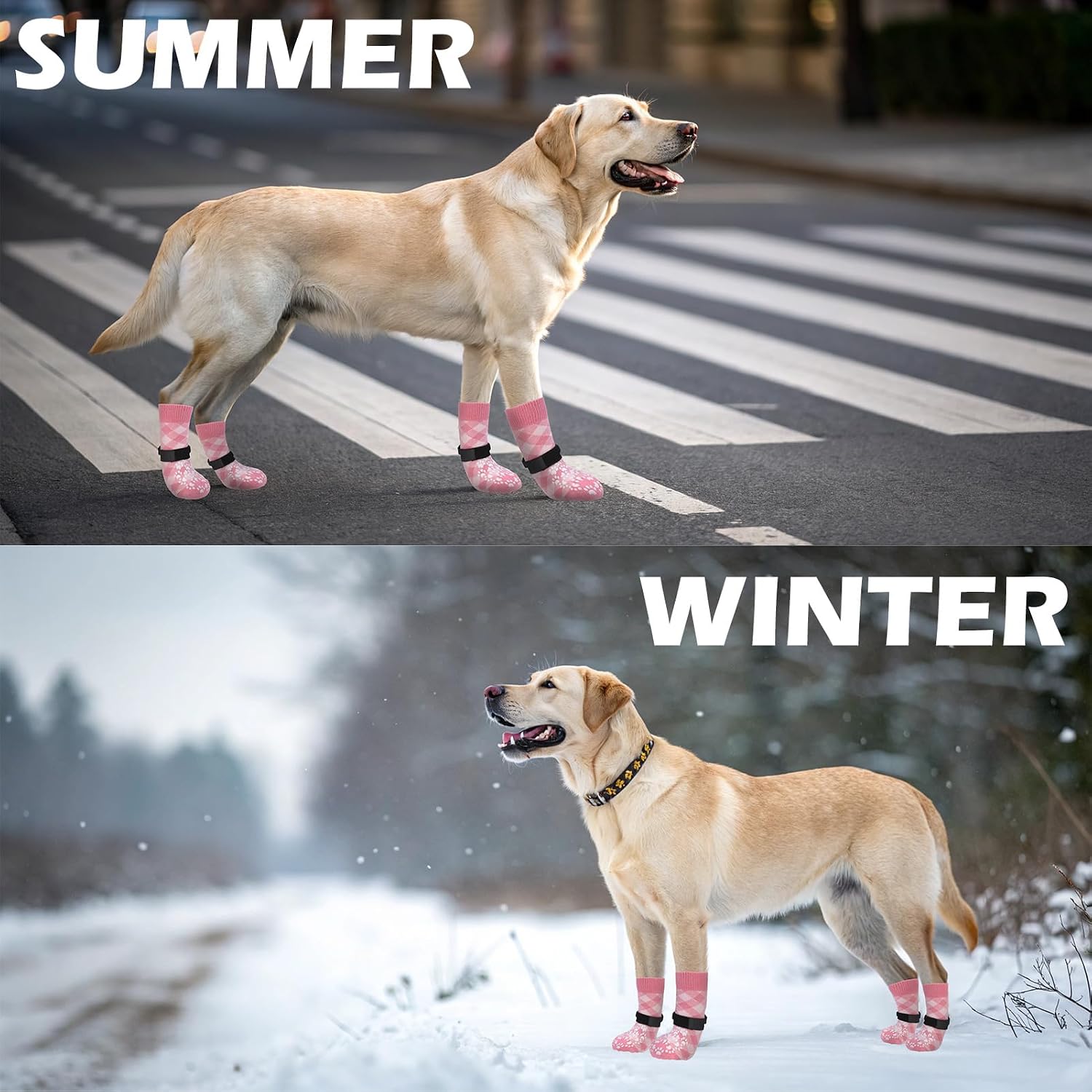Thumbnail 6 de EXPAWLORER Dog Socks, Size S