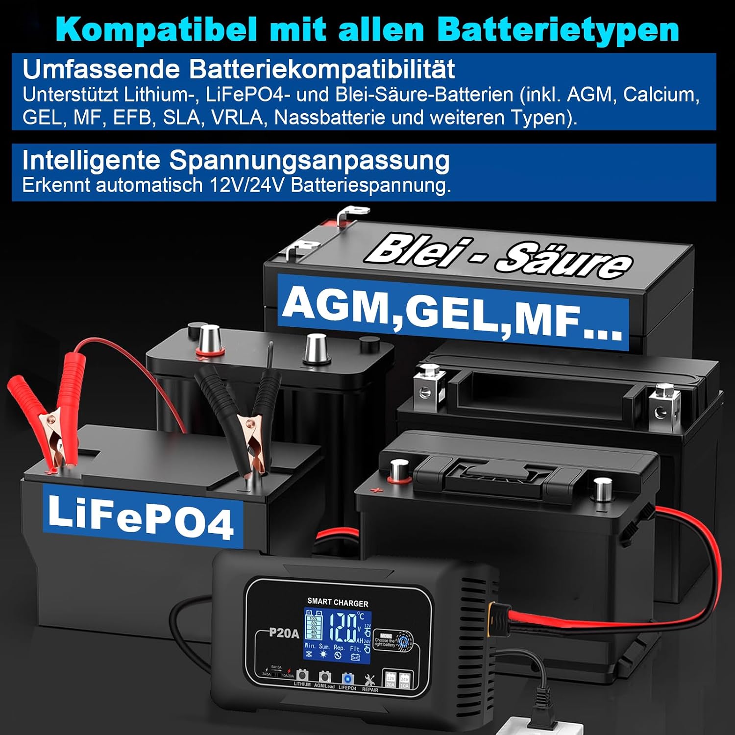 Detalle de 20A Autobatterie Ladegerät 12V/24V