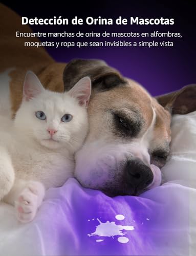 Thumbnail 1 de Lighting EVER Lepro Linterna UV 395nm 📷