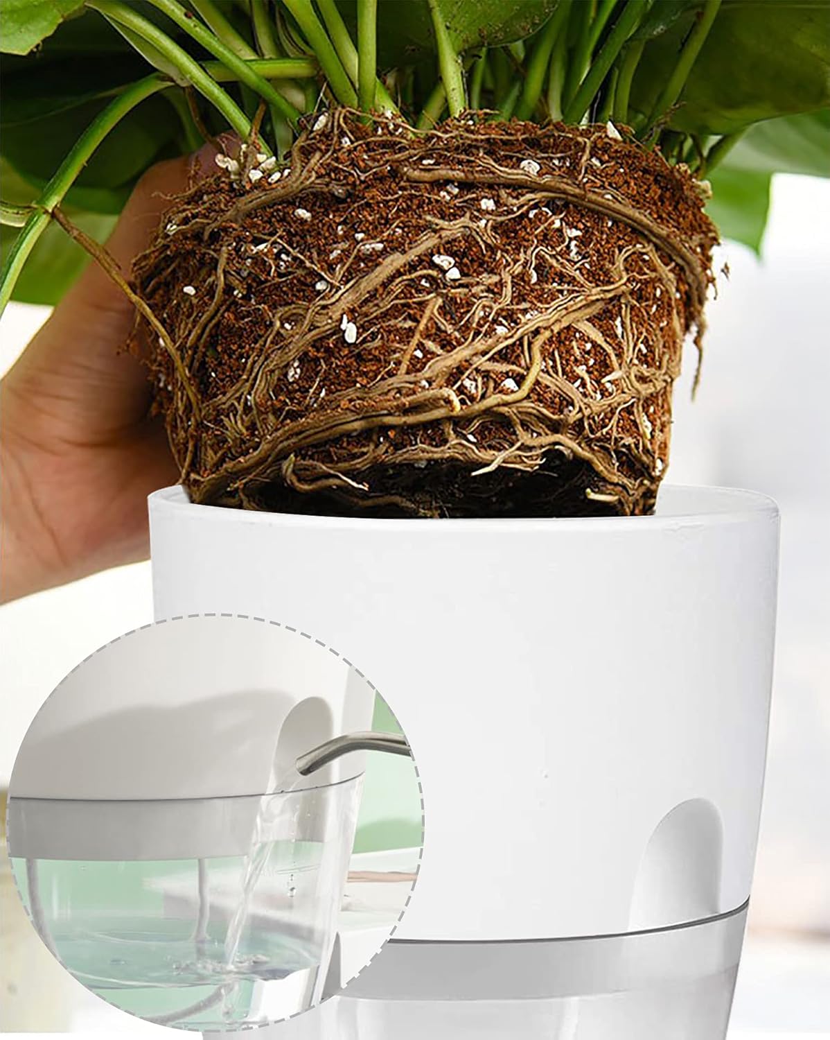 Thumbnail 3 de iDattel selbstbewässernder Blumentopf mit Bewässerungssystem – Kräutertopf Küchenfensterbank, 5er Set (weiß)