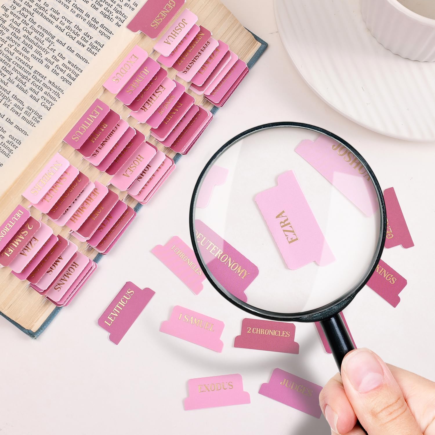 Detalle de VYRANA LLSYT-Pink Laminated Bible Tabs, Pink and Gold Foil, 105-Piece Set
