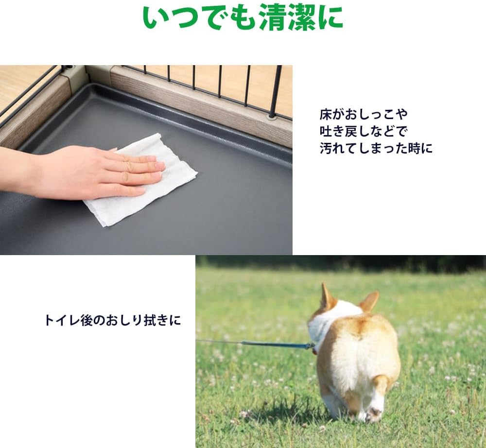 Detalle 1 de アイリスオーヤマ DPWT-8P ペット用ウェットティッシュ ノンアルコール 80枚×8パック
