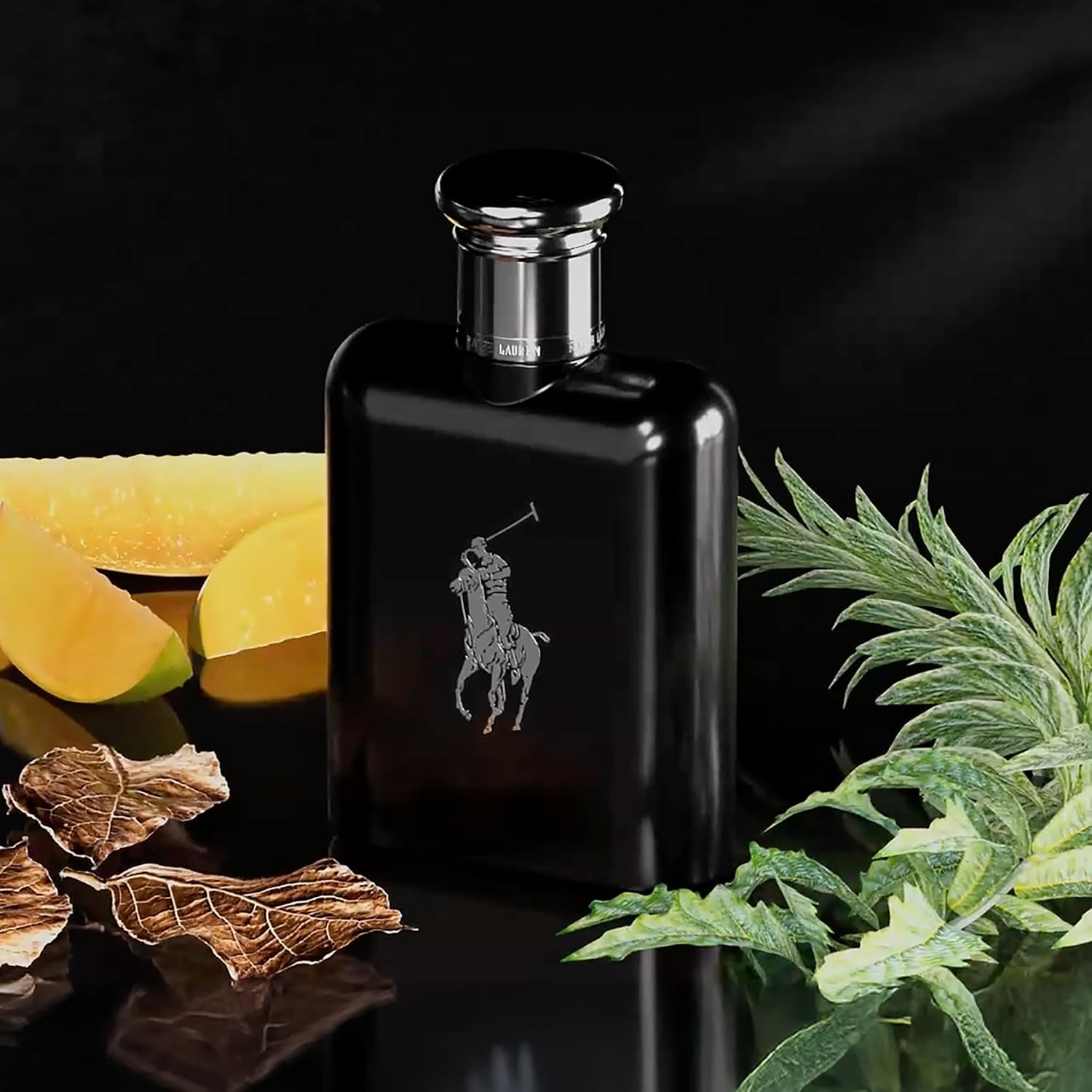 Detalle 2 de Ralph Lauren Polo Black Eau de Toilette für Herren – holzig-aromatischer Duft mit Mango und Patchouli