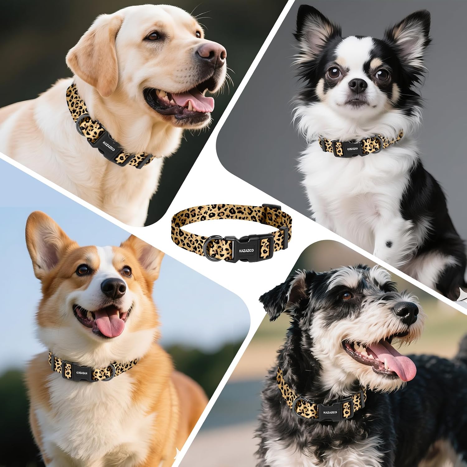 Thumbnail 6 de Kazazoo Dog Collar, Nylon