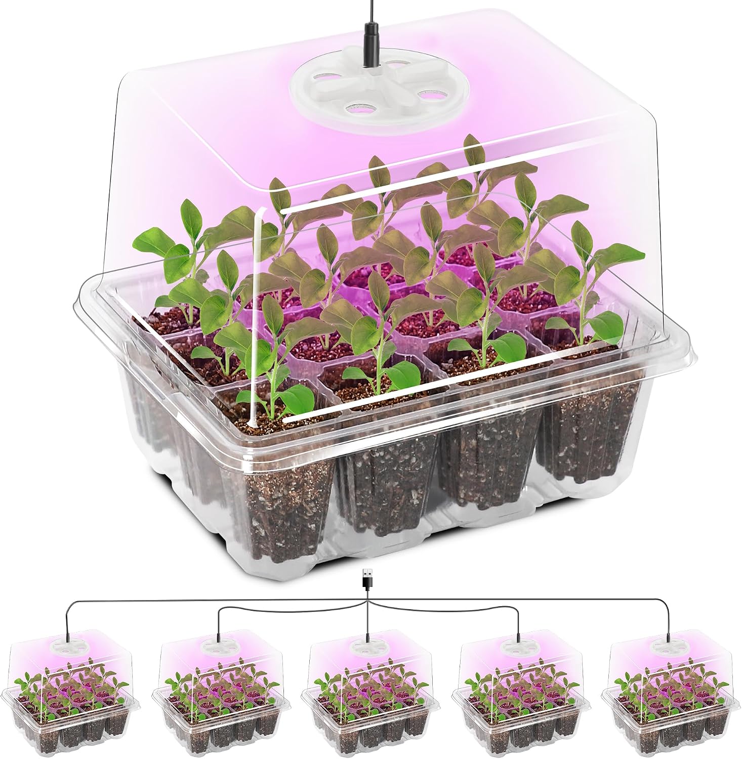 Detalle de Bonviee No1 Seed Starter Trays, 60 Cells, 12-LED Grow Lights, Clear 5-Pack