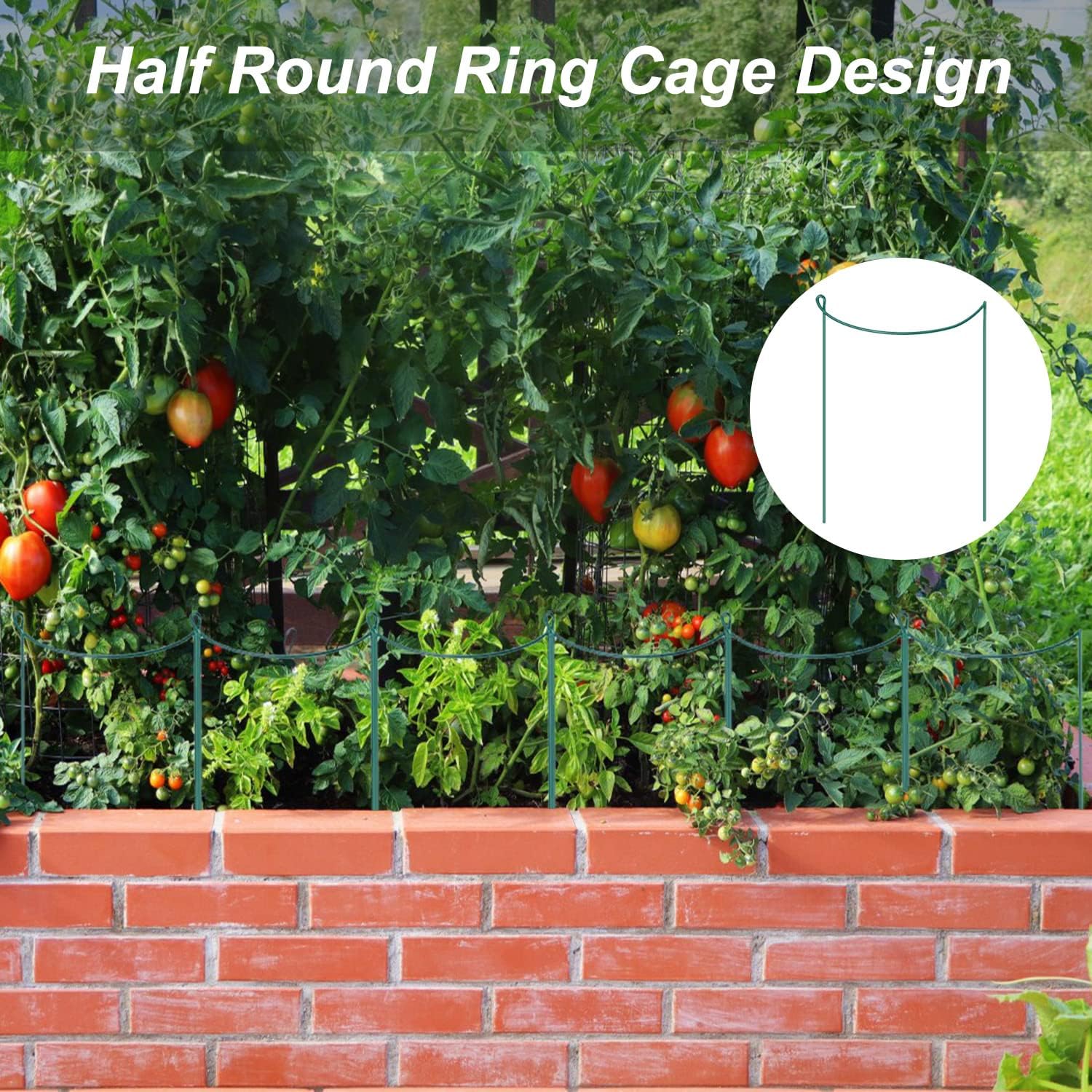 Thumbnail 3 de JIALWEN 6 Pack 20×35cm Plant Support Stakes Ring Cages – Green Metal Garden Plant Supports