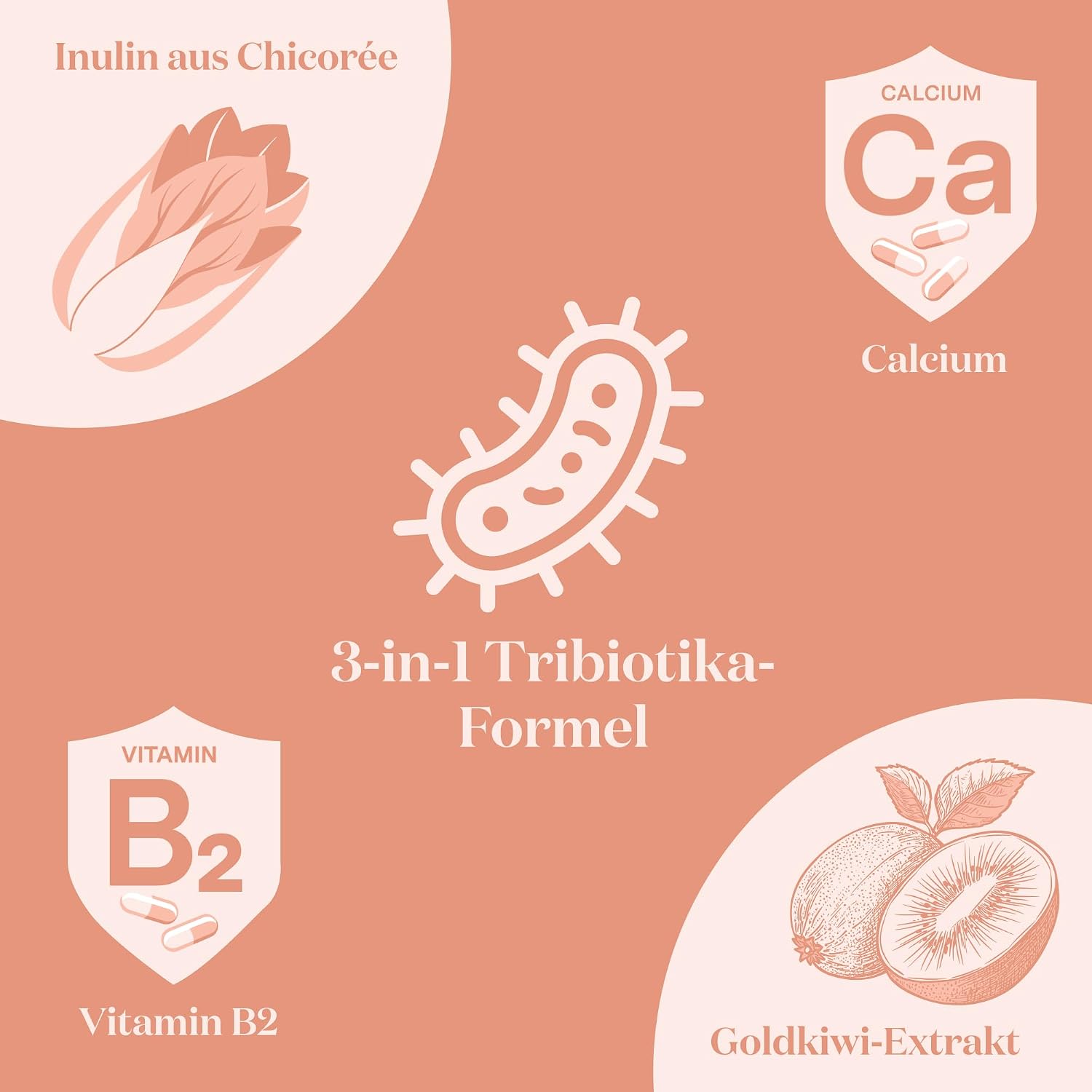 Detalle de Glow25® Balance – 30 Portionen pflanzliche Tribiotika-Formel mit Milchsäurebakterien, Kiwifruchtpulver, Inulin, Calcium & Vitamin B2
