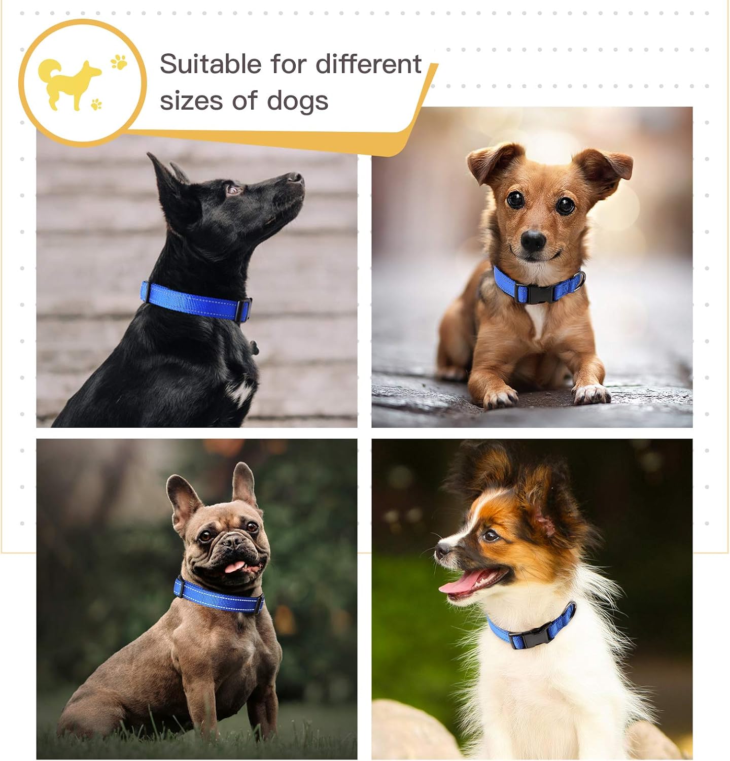 Detalle de HEELE Hundehalsband aus Nylon mit reflektierenden Band, Neopren gepolstert – Königsblau, Größe M (34–52 cm)