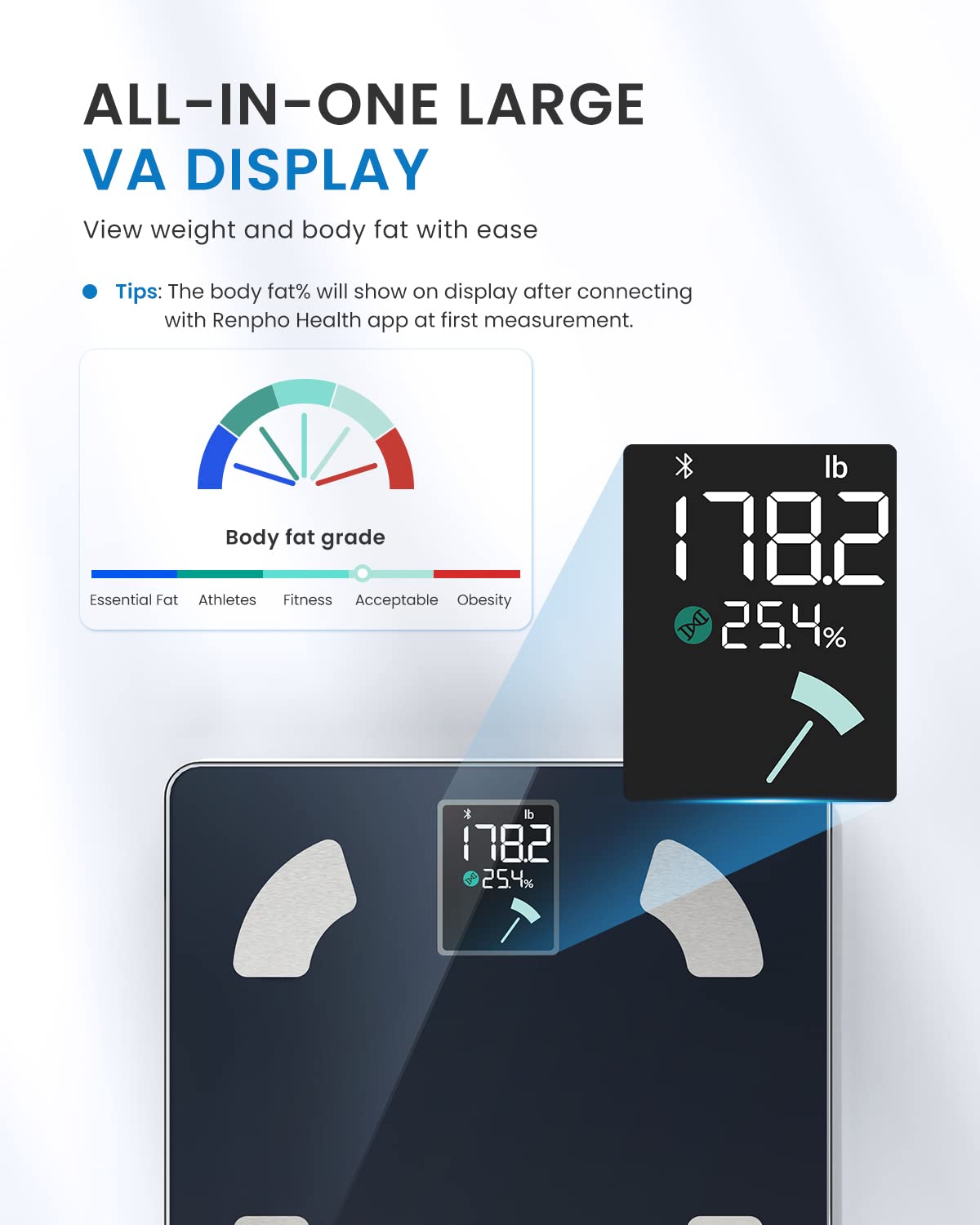 Detalle 2 de RENPHO Elis 1 body fat scale 13-parameter