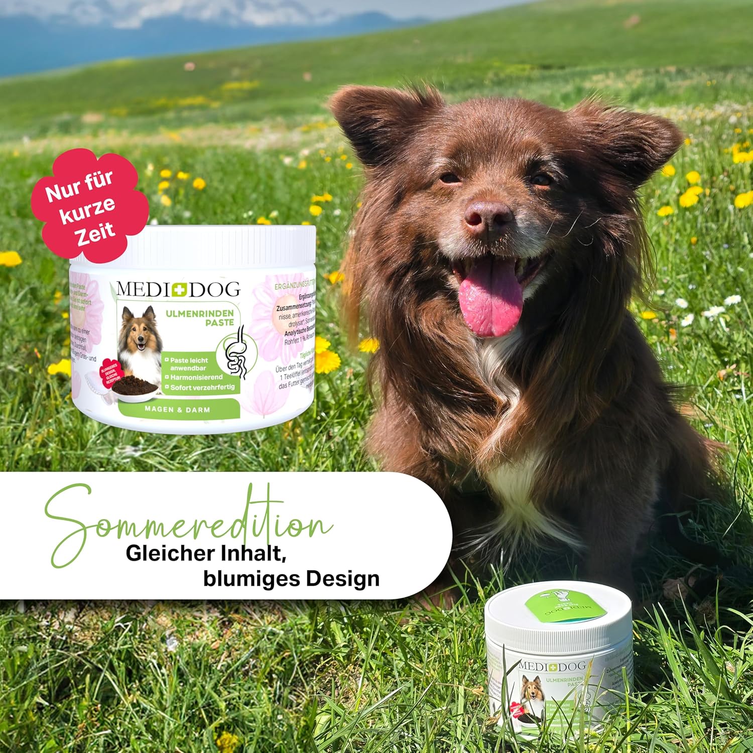 Detalle de MEDIDOG 500g Premium Ulmenrinden-Paste für Hunde – sofort verzehrfertig mit Slippery Elm Bark