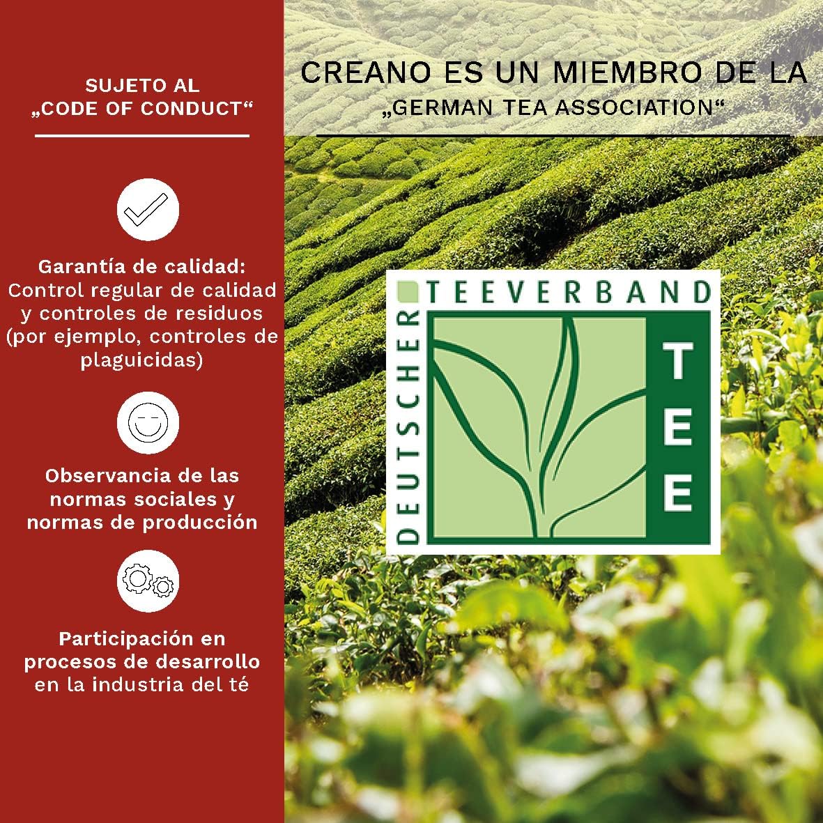 Thumbnail 4 de Creano Set Regalo de Flores de Té en Caja Corazón 💖