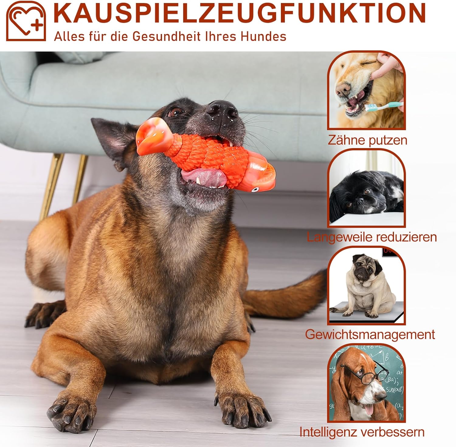 Thumbnail 2 de WinTour Hundespielzeug Kauspielzeug
