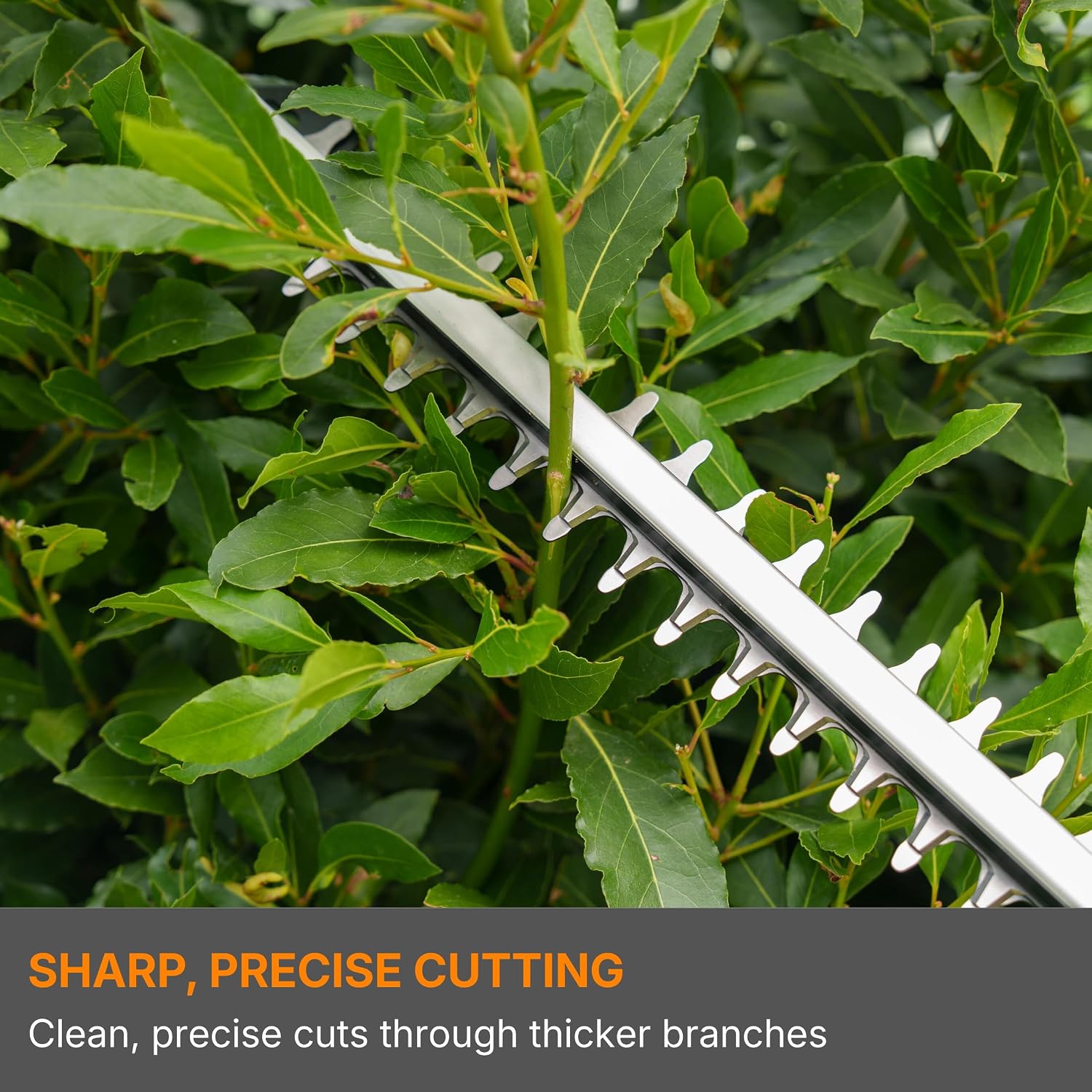 Thumbnail 2 de Flymo 18V SimpliCut 450 Hedge Trimmer (with battery and charger) — 45cm dual action blades