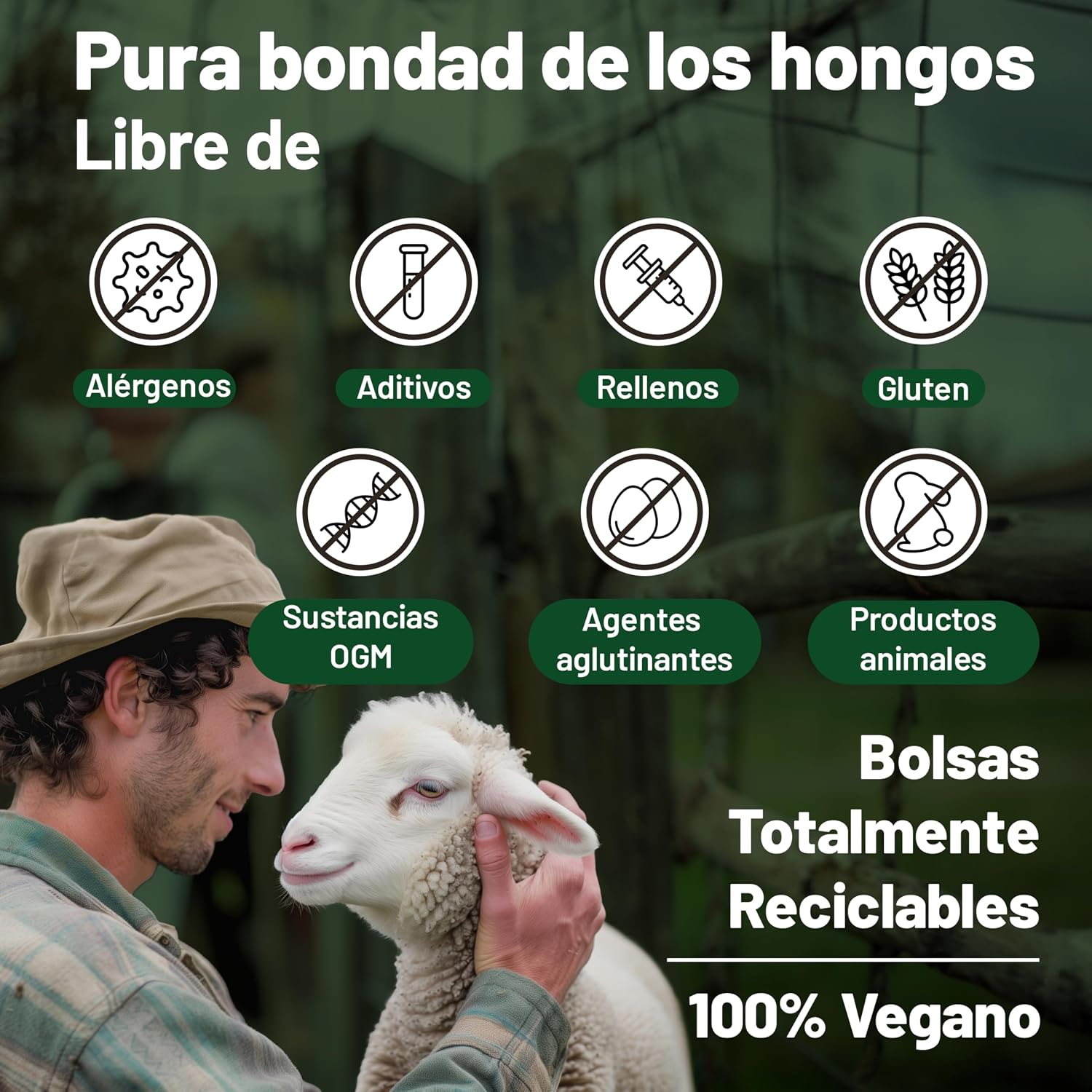 Thumbnail 6 de Suplemento 6 Hongos 500mg 120 cápsulas