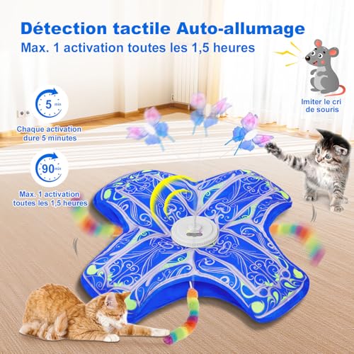 Detalle de Qraxond Jouet Interactif pour Chats d'Intérieur – Nouvelle Version Améliorée