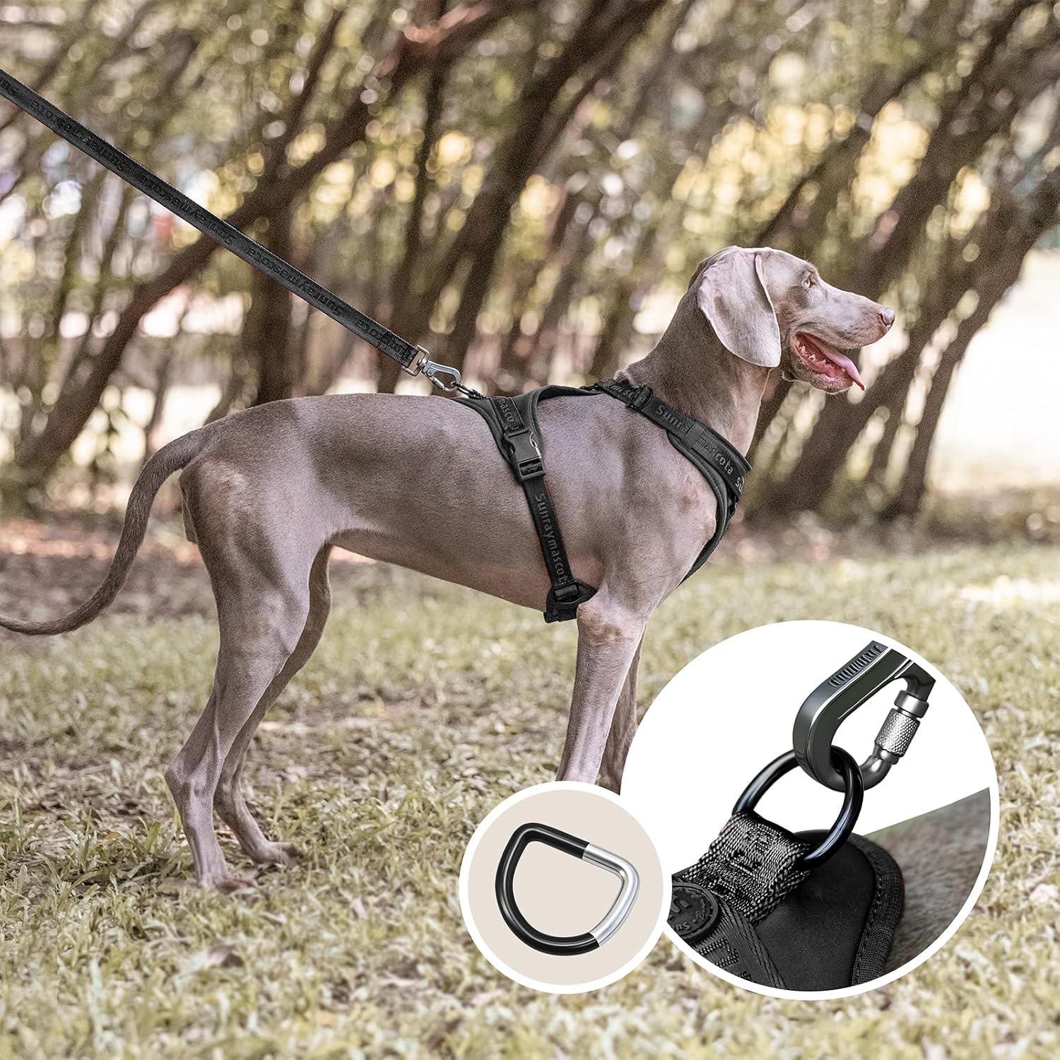 Thumbnail 6 de Sunraymascota Imbracatura per cani con imbottitura in Lycra: comfort traspirante per ogni passeggiata (Taglia M, Nero)