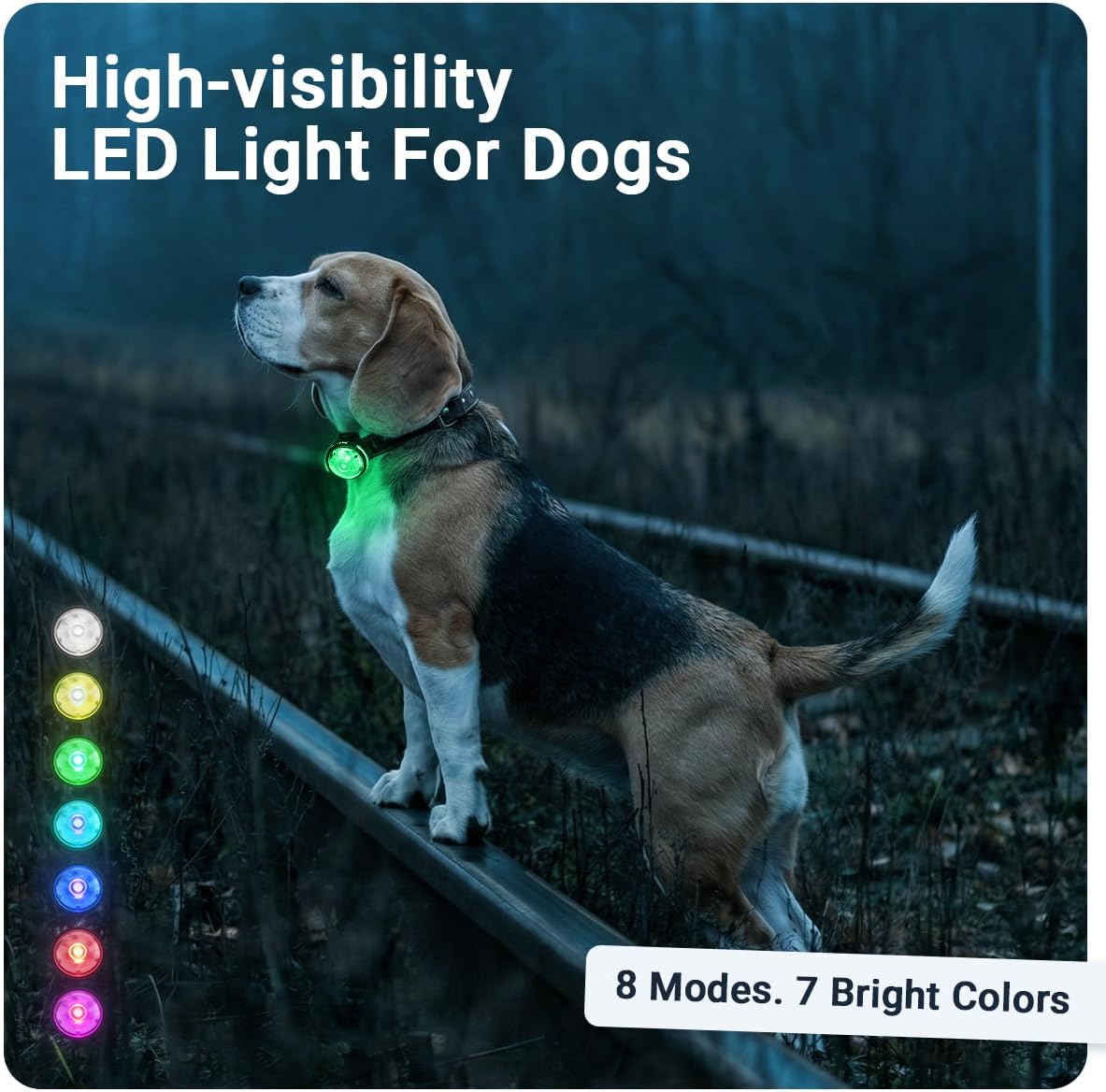 Thumbnail 1 de PAJ Light Mini LED pet light with two LEDs, waterproof design and seven colours