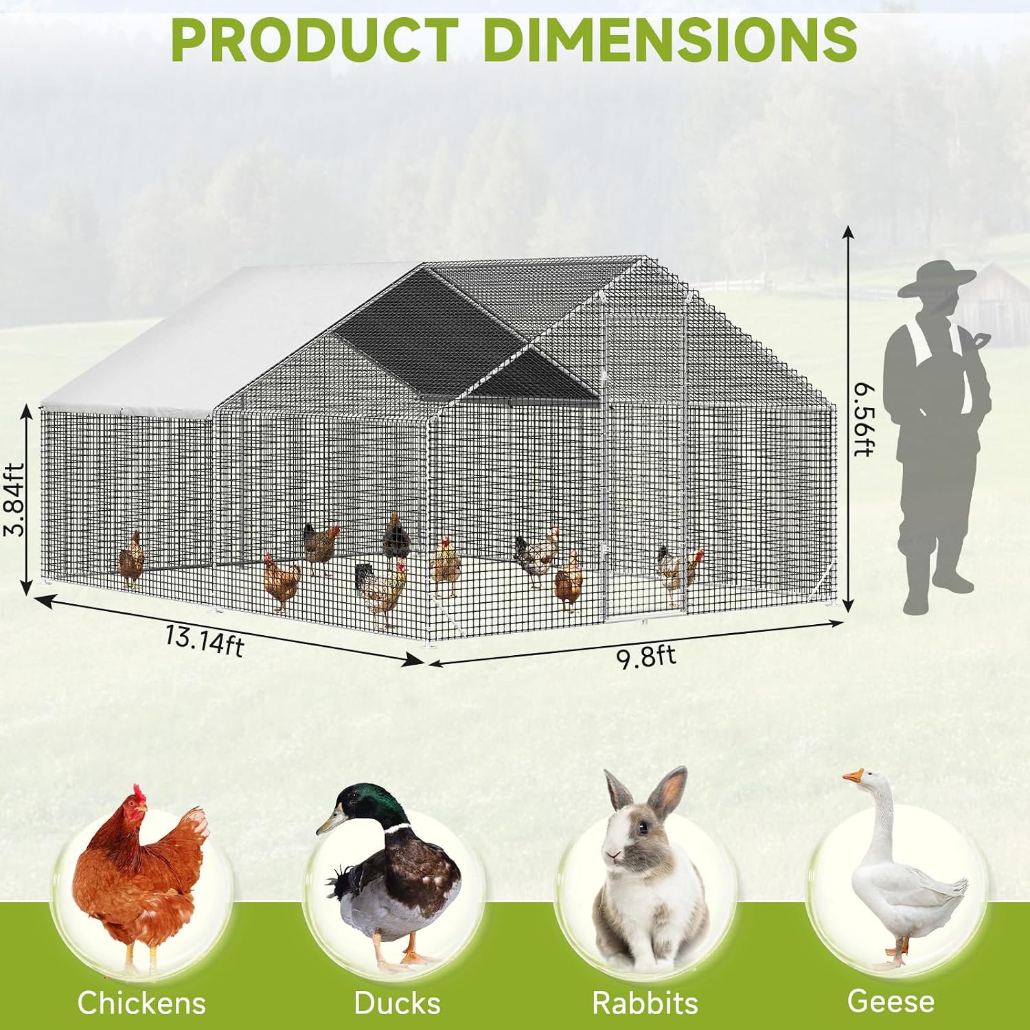 Detalle 2 de Chicken Coop with Run, 13.1 x 9.8 x 6.6 ft