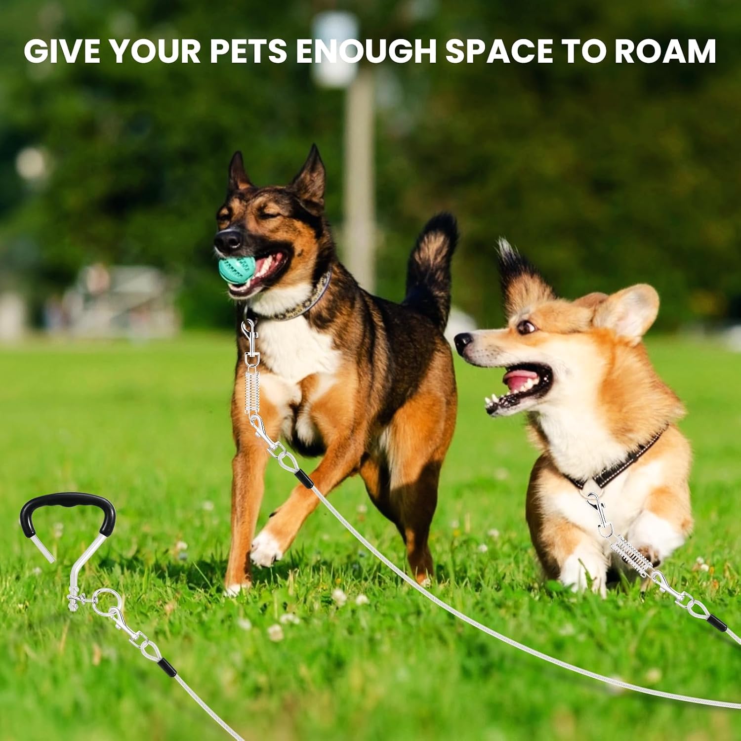Thumbnail 6 de Dog Tie-Out Cable and Stake, 30 ft