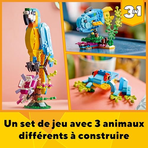 Thumbnail 2 de LEGO 31136 Creator 3-en-1 Le Perroquet Exotique — Jouet de construction, 3 animaux
