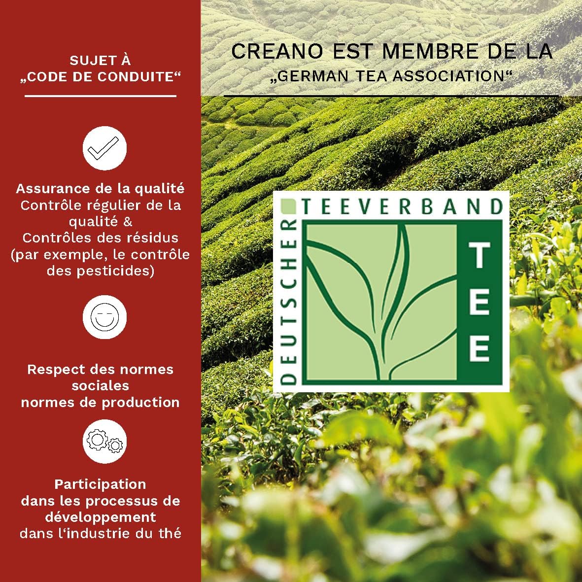 Thumbnail 4 de Coffret Fleurs de Thé 6 pièces 🍵