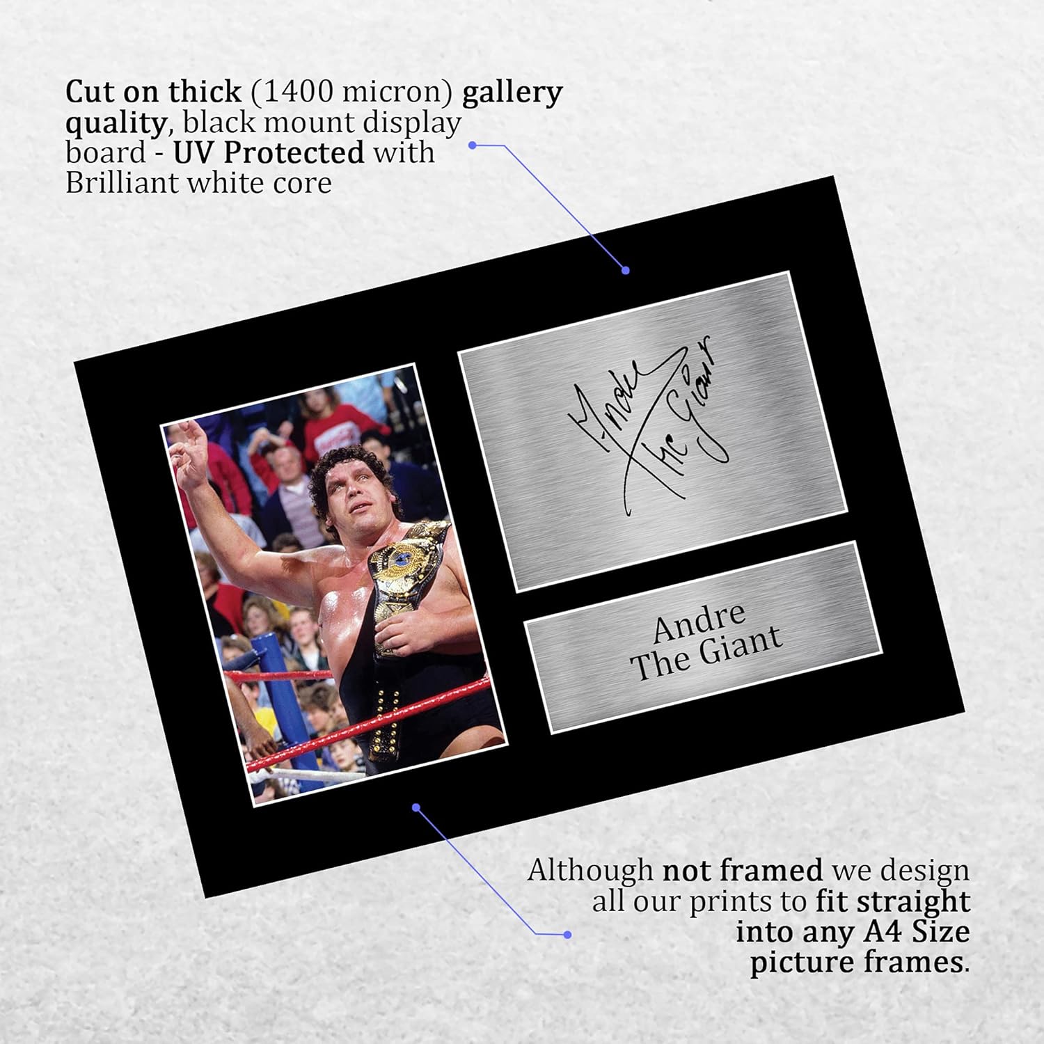 Thumbnail 2 de HWC Trading A4 Andre the Giant signed autograph display picture (A4) for WWE & WWF memorabilia fans