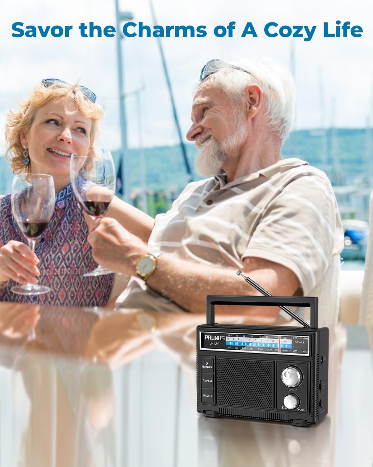 Detalle 2 de PRUNUS J-136 Portable AM/FM Radio with AC or Battery Power, AUX and Mic Input