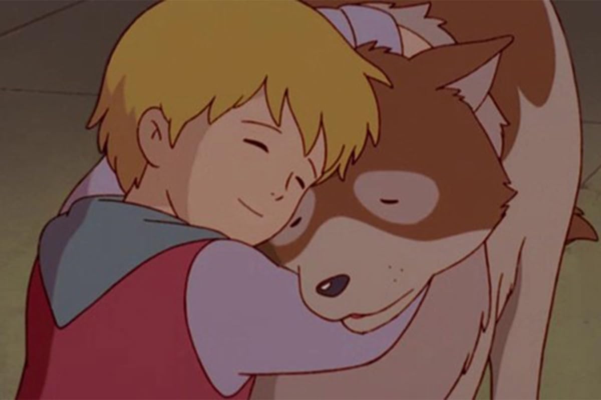 Detalle 2 de Niklaas, ein Junge aus Flandern (Komplettbox) – Animation MOVIES by WME Home Entertainment mit 4 DVDs (52 Episoden)