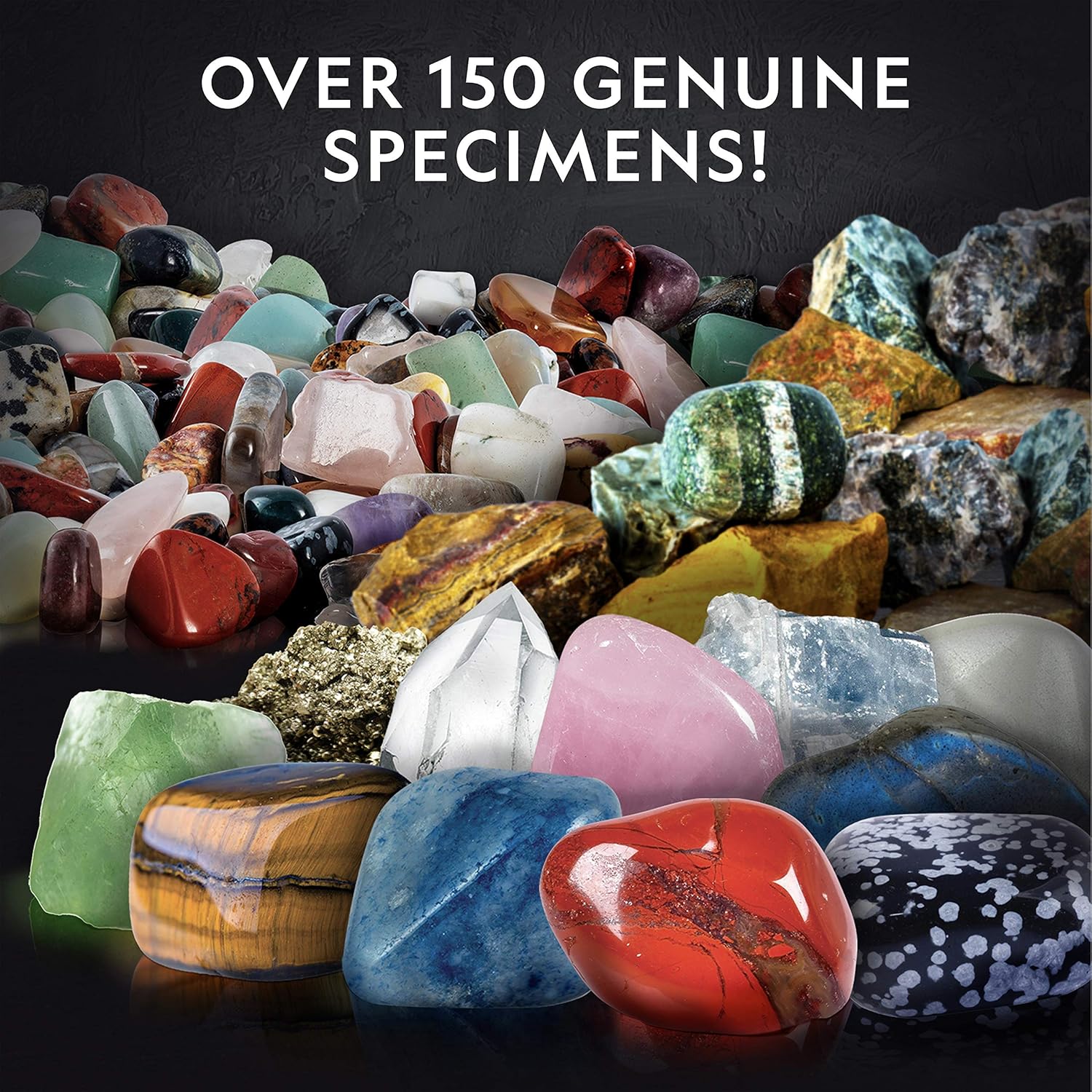 Detalle de National Geographic Rock Bingo Game 150+ pieces 🎲