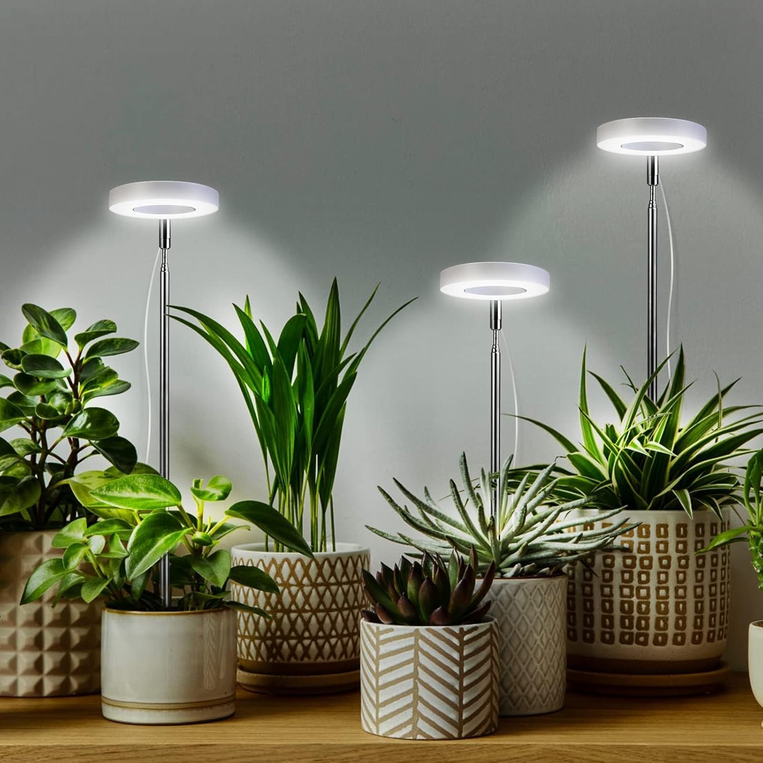Thumbnail 6 de Cieex 2er Pflanzenlampe Led Vollspektrum für Zimmerpflanzen – verstellbare Höhe, Timer und 4 Helligkeitsstufen