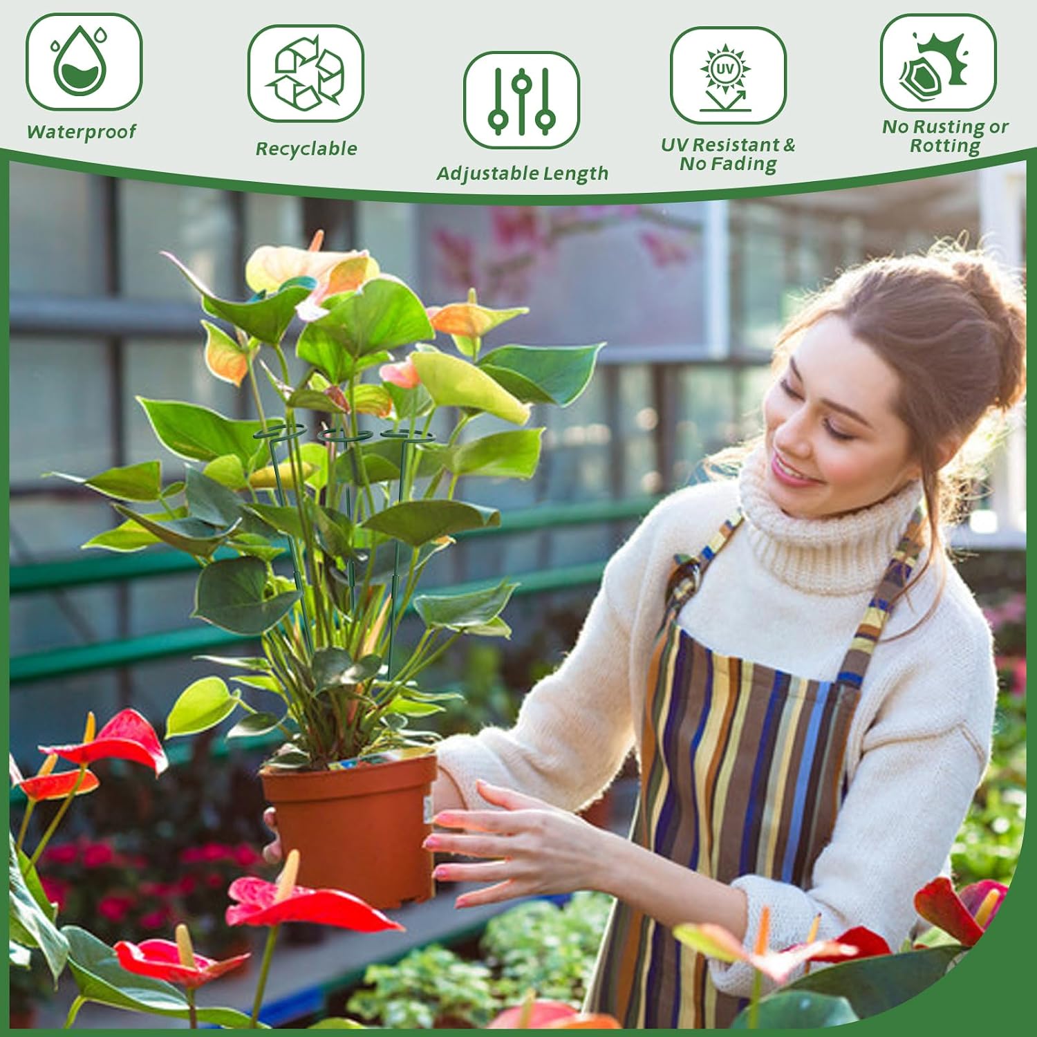 Thumbnail 4 de Hanotic 6Pcs Plant Support Stakes 30cm 60cm 90cm