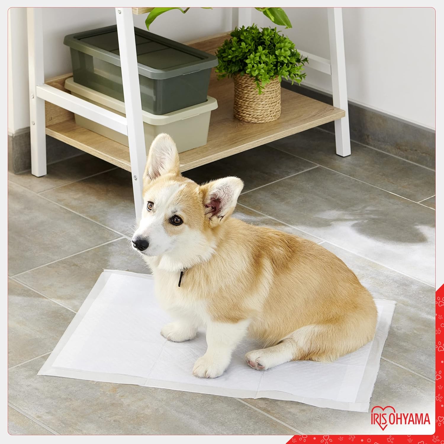 Thumbnail 1 de Iris Ohyama Pet Pad NS-100W – tappetini super assorbenti per cuccioli e addestramento (strato multiplo) 100 pezzi, bianco