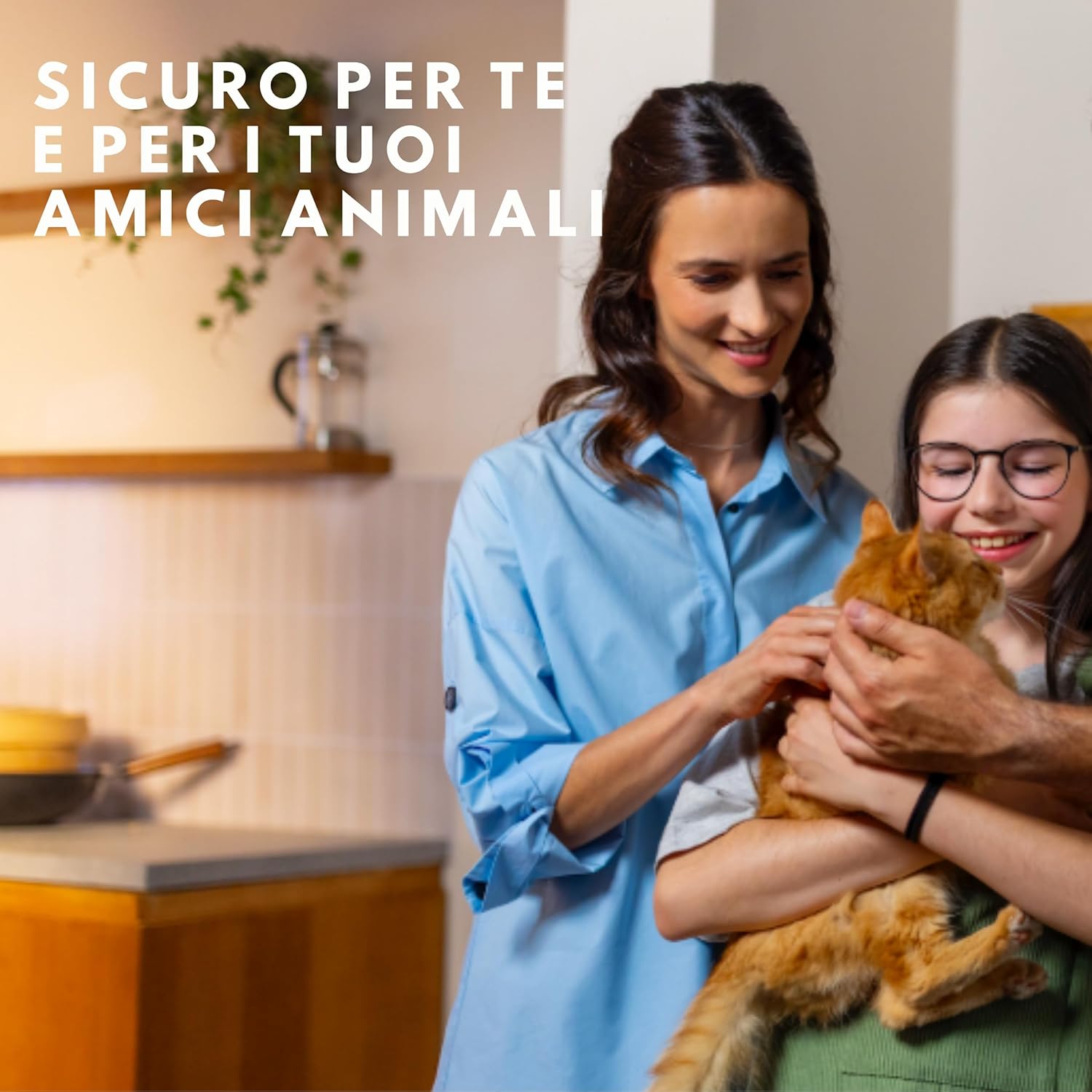 Thumbnail 4 de Raid Essentials Trappola per insetti volanti con base e ricarica 24/7 senza insetticida