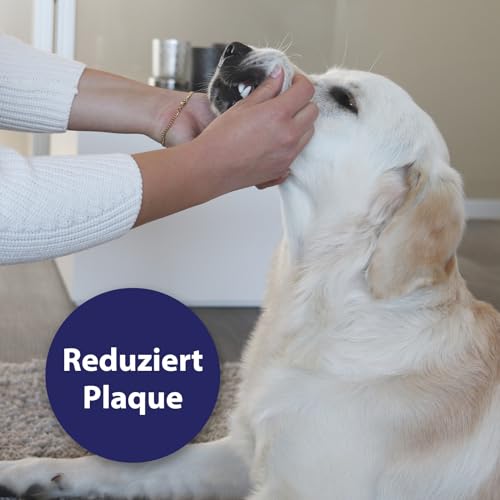 Detalle de Canosept Zahnpflege Finger-Pads für Hunde – 50 Stück
