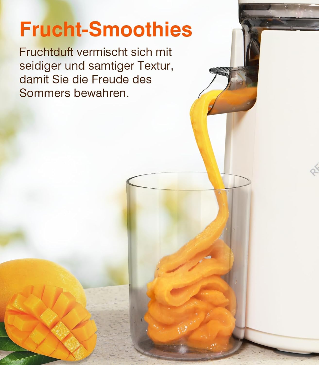 Thumbnail 6 de Zasmira Slow Juicer 120mm Einfüllschacht 1,5 L
