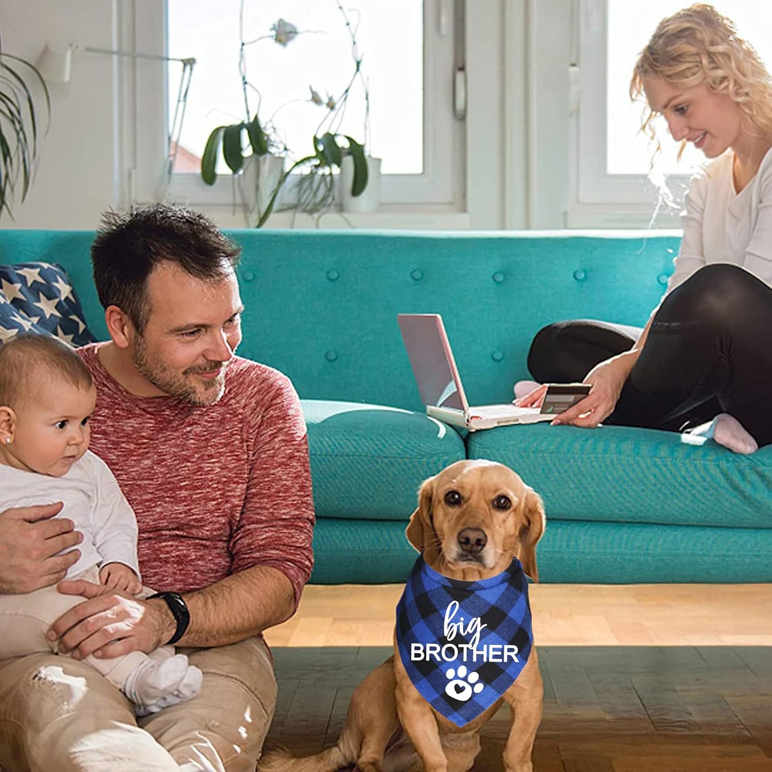 Detalle 1 de JOTFA Big Brother Dog Bandana Large