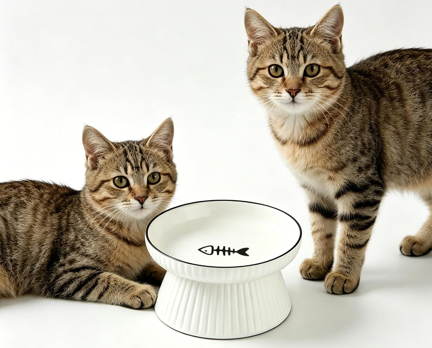 Detalle de PlushPlumage Elevated Cat Bowl – raised ceramic anti-vomit dish with non-slip base