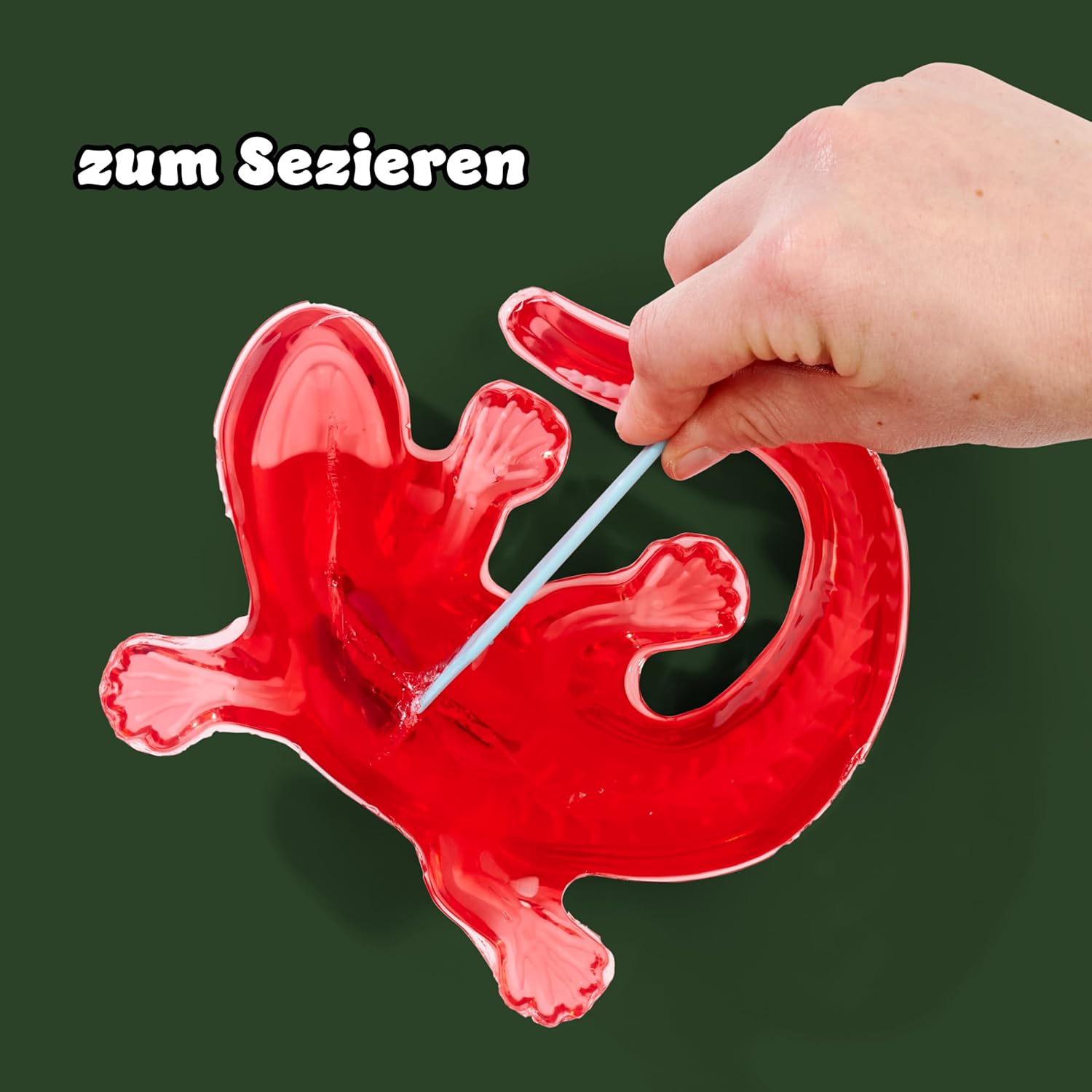 Detalle 2 de Scout Dissect-It Salamandre à disséquer 14 cm 🐸