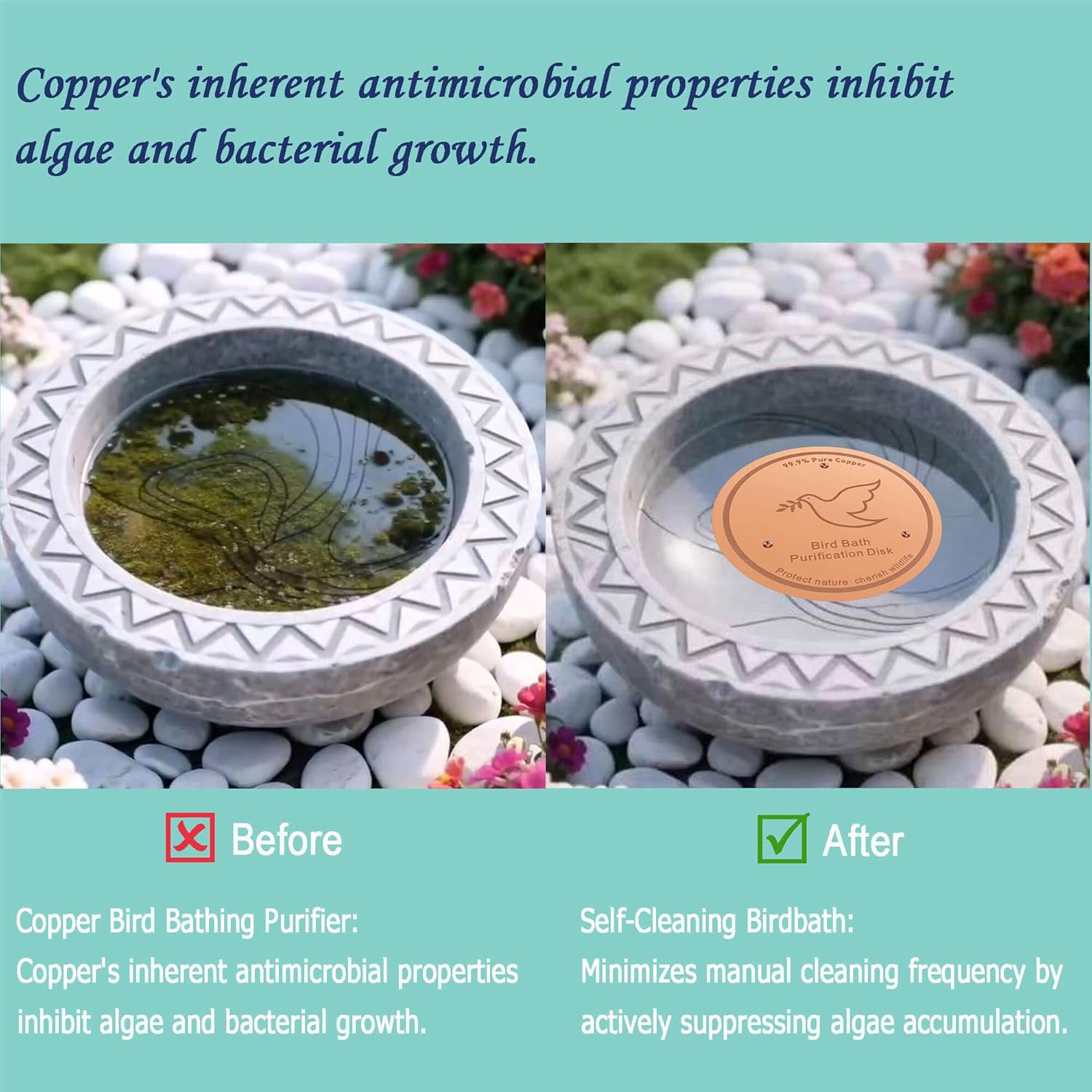 Thumbnail 3 de YUMEWARM Bird Bath Copper Disc, 0.6 mm Reinforced 99.99% Pure Copper