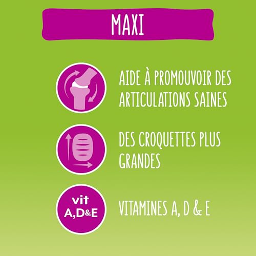 Thumbnail 8 de FRISKIES Maxi - Croquettes pour Chiens Adultes de Grande Taille au Bœuf (Sac 12 kg)