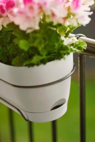 Thumbnail 8 de Elho Vibia Campana jardinera 50,4 cm Blanco